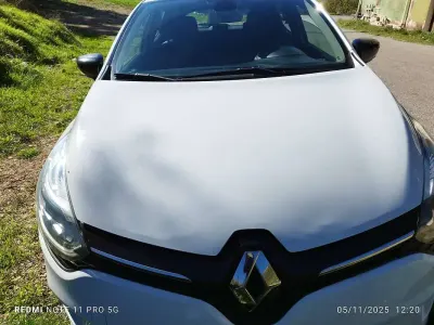 Usata Renault Clio IV