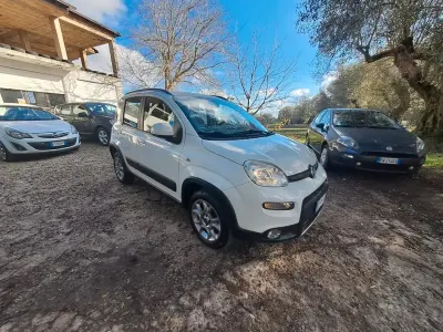 Usata Fiat Panda 4x4 S 75 CV (55 kW) 2015 Bianco Utilitaria
