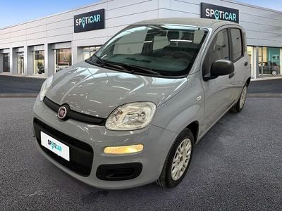 Usata Fiat Panda S 70 CV (51 kW) 2021 Grigio Utilitaria