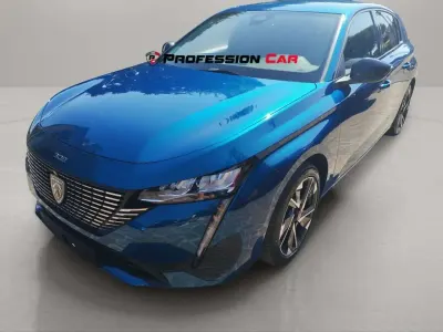 Usata Peugeot 308