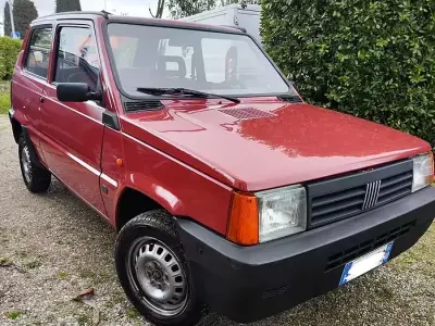 Usata Fiat Panda Young 54 CV (39 kW) 2002 Utilitaria