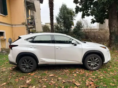 Usata Lexus NX300h