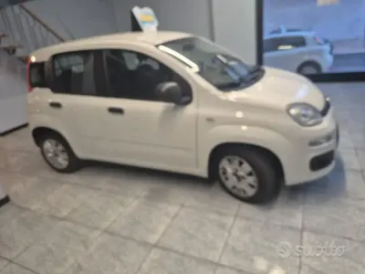 Usata Fiat Panda 80 CV (58 kW) 2018 Rosso Utilitaria