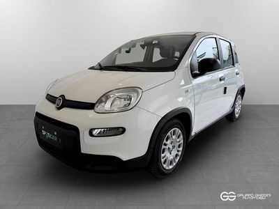 Usata Fiat Panda 70 CV (51 kW) 2024 Bianco Utilitaria