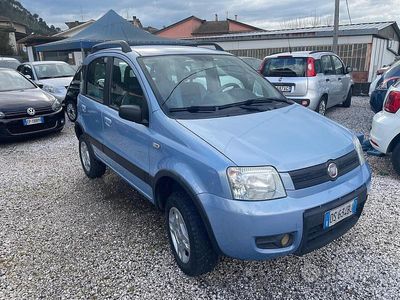 Usata Fiat Panda 4x4 75 CV (55 kW) 2008 Grigio Utilitaria