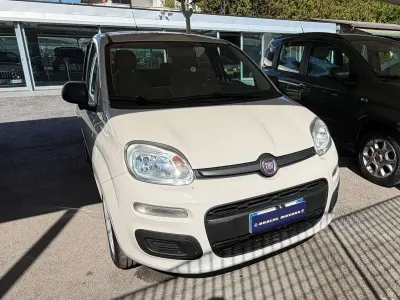 Usata Fiat Panda Easy 69 CV (50 kW) 2017 Beige Utilitaria