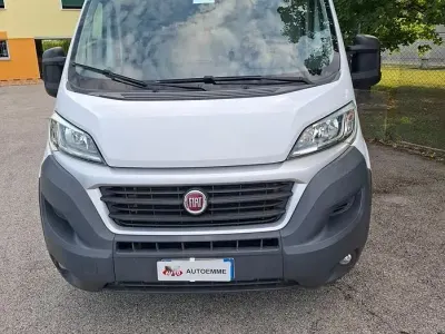 Usata Fiat Ducato 116 CV (85 kW) 2017 Bianco Furgone