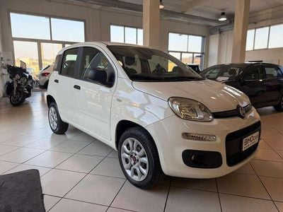 Usata Fiat Panda Lounge 84 CV (61 kW) 2020 Bianco gelato Utilitaria