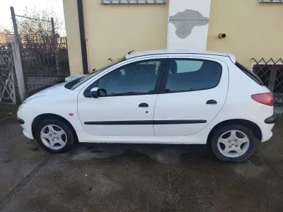 Usata Peugeot 206