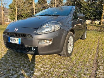 Usata Fiat Punto 75 CV (55 kW) 2015 Grigio Utilitaria