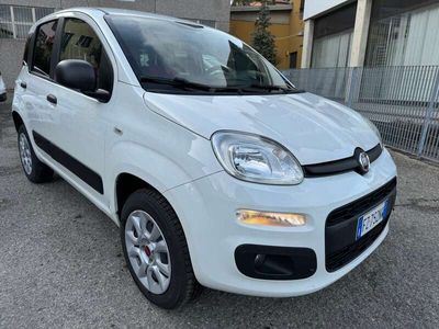 usata Fiat Panda 4x4 - Autocarro 2 Posti N1 -