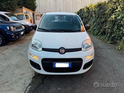 Usata Fiat Panda Easy 69 CV (50 kW) 2020 Bianco Utilitaria