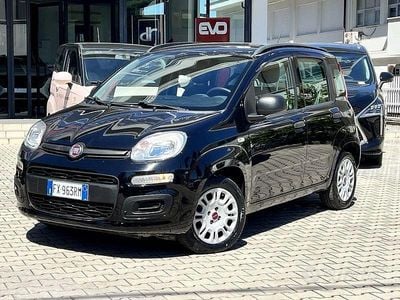 Usata Fiat Panda Easy 69 CV (50 kW) 2019 Utilitaria
