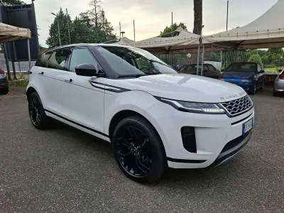 Usata Land Rover Range Rover evoque 150 CV (110 kW) 2020 Bianco SUV