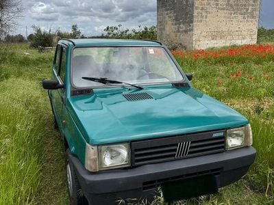 Usata Fiat Panda Young 1995 Verde Utilitaria