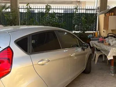 Usata Ford Fiesta