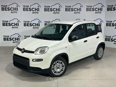 Usata Fiat Panda City Life 70 CV (51 kW) 2023 Bianco(met.) Utilitaria