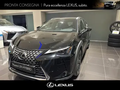 Usata Lexus UX 300h