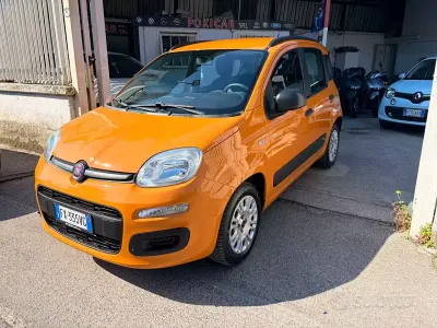 Usata Fiat Panda Easy 69 CV (50 kW) 2019 Arancione Utilitaria