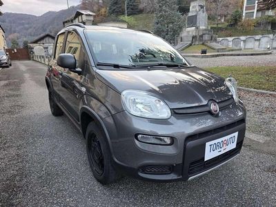Usata Fiat Panda 4x4 S 84 CV (61 kW) 2020 Grigio scuro Utilitaria