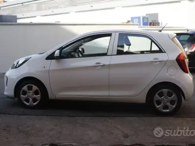 Usata Kia Picanto City 67 CV (49 kW) 2016 Bianco Utilitaria
