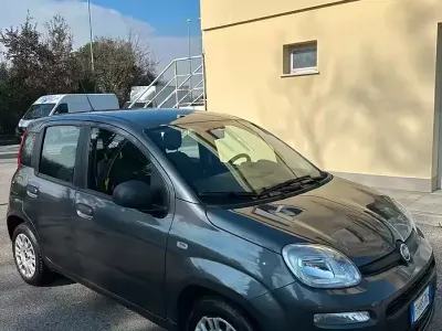 Usata Fiat Panda 69 CV (50 kW) 2017 Utilitaria