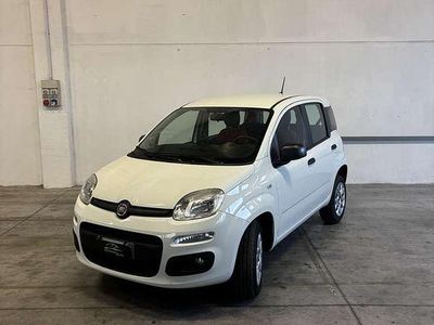 Usata Fiat Panda Easy 71 CV (52 kW) 2020 Bianco Utilitaria