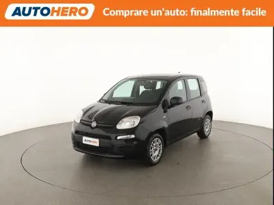 Usata Fiat Panda Easy 70 CV (51 kW) 2020 Nero Utilitaria