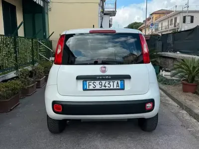 Usata Fiat Panda 85 CV (62 kW) 2018 Bianco Utilitaria