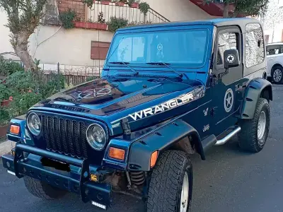 Usata Jeep Wrangler 118 CV (86 kW) 1998 SUV
