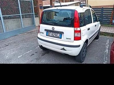 Usata Fiat Panda 60 CV (44 kW) 2008 Bianco Utilitaria
