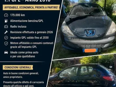 Usata Peugeot 206 60 CV (44 kW) 2010 Berlina