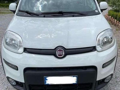 Usata Fiat Panda 4x4 75 CV (55 kW) 2014 Utilitaria