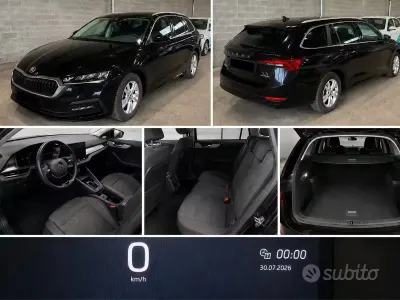Usata Skoda Octavia