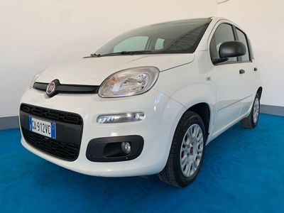 usata Fiat Panda - 1.2cc 69cv - EURO 6 - NEOPATENTATO