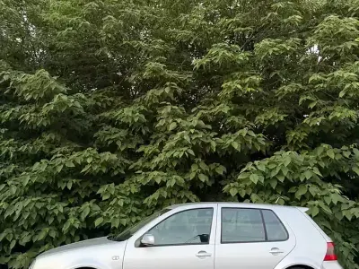 Usata VW Golf IV GTI 150 CV (110 kW) 2002 Grigio Berlina