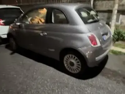 Usata Fiat 500 69 CV (50 kW) 2013 Grigio Utilitaria