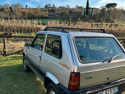 Usata Fiat Panda 4x4 50 CV (36 kW) 1999 Utilitaria