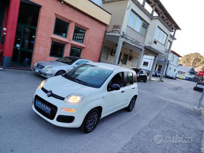 usata Fiat Panda 1.2Benzina Neopatentati - 2015