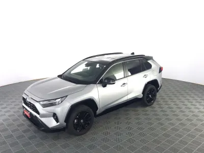 Usata Toyota RAV4 Hybrid