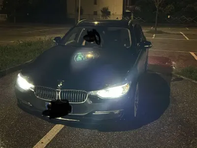 Usata BMW 330