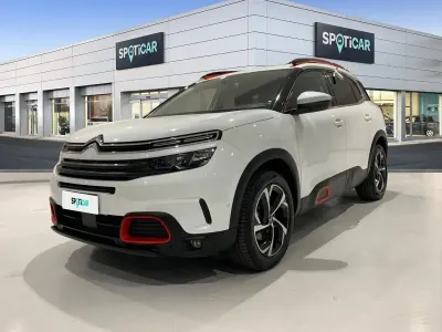 Usata Citroën C5 Aircross Business Class 131 CV (96 kW) 2020 Bianco SUV