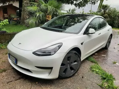 Occasion Tesla Model 3 Standard Range 88 kW (120 ch) 2021 Blanc Berline