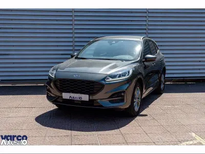 Usata Ford Kuga ST-Line 225 CV (165 kW) 2023 Grigio SUV