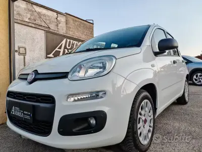 Usata Fiat Panda Lounge 95 CV (69 kW) 2018 Bianco Utilitaria