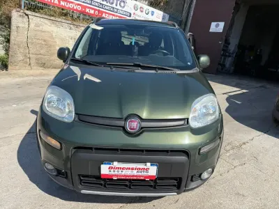 Usata Fiat Panda Cross Cross 95 CV (69 kW) 2016 Verde Utilitaria