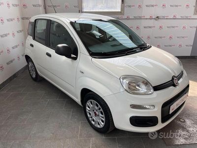 usata Fiat Panda 1.0 FireFly S&S Hybrid 69CV - GARANZIA