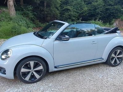 VW Beetle