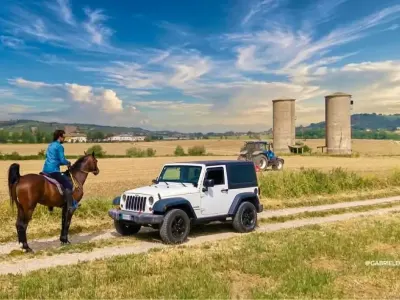 Usata Jeep Wrangler Sport 118 CV (86 kW) 2013 Bianco SUV