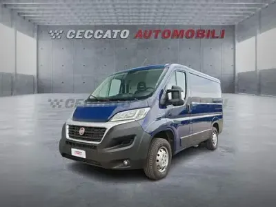 Usata Fiat Ducato 116 CV (85 kW) 2019 Blu Furgone